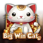 Big Win Cat